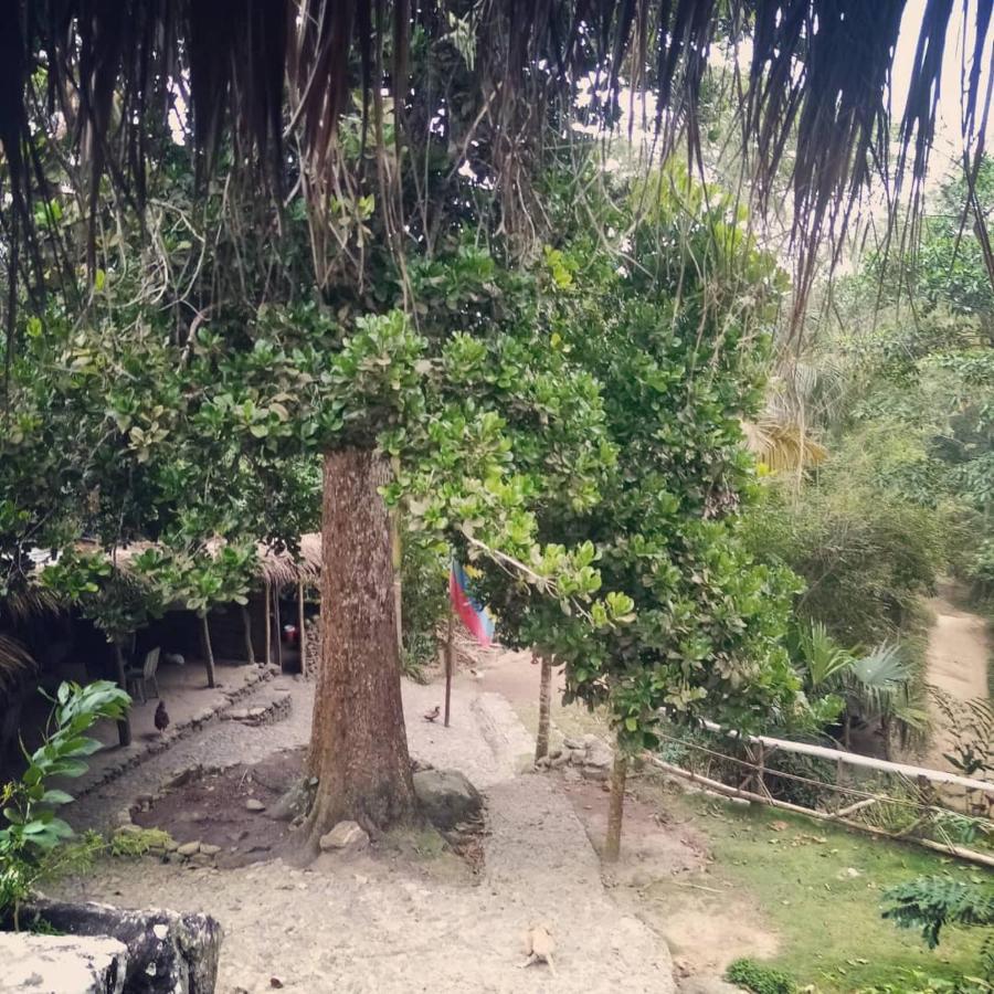 Hotel La Cima Tayrona Santa Marta  Exteriér fotografie